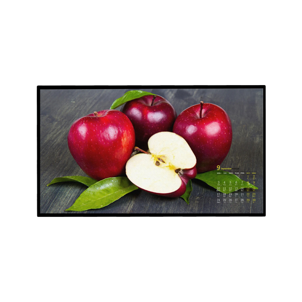 75"Factory price High temperature resistant Industrial open frame display
